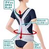 Alphax Doctor's Strong Back Belt, Posture Supporter for Back and Waist, Sizes L-LL, Made In Japan