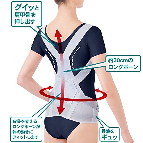 Alphax Doctor's Strong Back Belt, Posture Supporter for Back and Waist, Sizes L-LL, Made In Japan