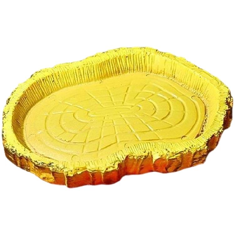 Strong Shelled Animal Water Plate Feeding Surfaces For Land And Partial Water Species