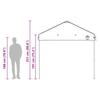 Pop Up Gazebo Tent Green 290 X 290 X 251 Cm Fabric