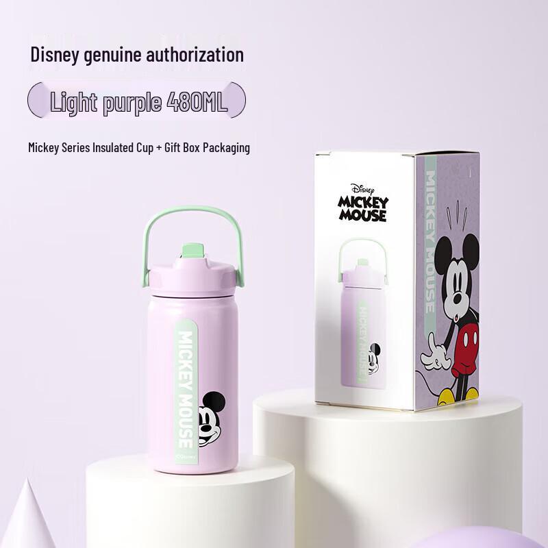 Gemimi 480ml Stainless Steel Portable Straw Water Bottle