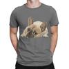 French Bulldog Graphic 100 Cotton TShirt French Bulldog Tees Tops For Unisex