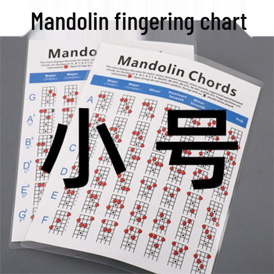Mandolin Fingering & Chord Practice Diagram