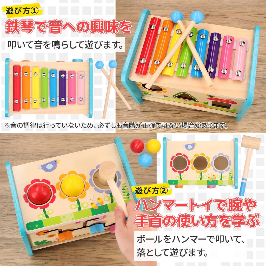 Smiim Educational Toy for 1, 2, and 3 Year Olds: Montessori Style, Shape Sorting, Hammer Toy, Wooden, Xylophone, Sound-Making, Finger Training, Concen