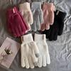 Full Finger Mittens Korean Style Cycling Driving Gloves Gift Knitting Gloves  Winter
