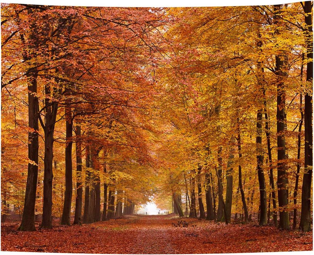 Landscape Tapestry Autumn Season Fall Trees with Morning Fog in Forest Relaxing Art Nature Photo Home Wall Hanging Decro for