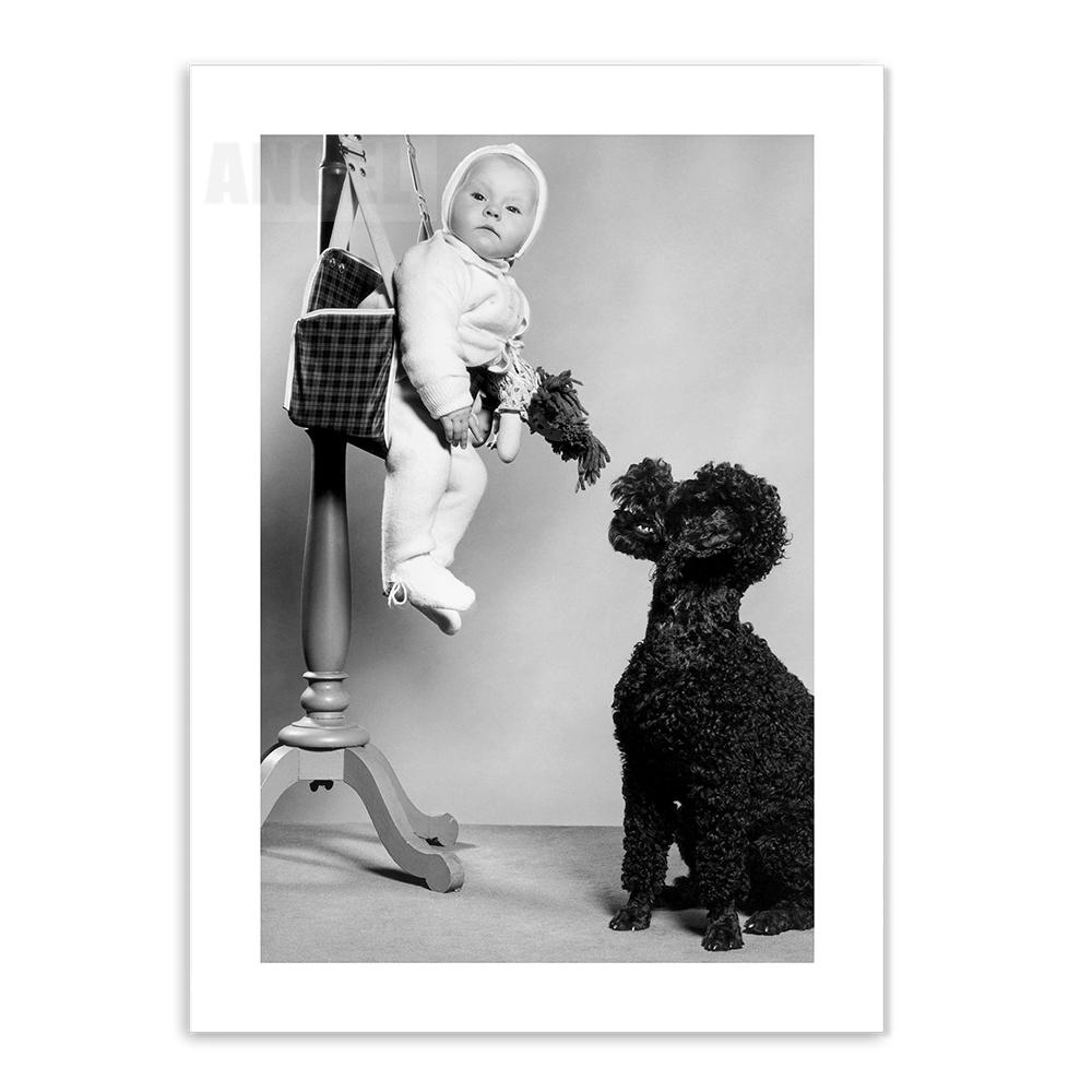 

Фотография Плакат Настенное Искусство Холст Картина Черно-Белая Высокий каблук Ретро Собака на Окне Автомобиля Настенная Картина Для Декора Гостиной 21x30cm No Framed