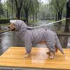 Full Coverage Waterproof Dog Raincoat Large Medium Breeds Outdoor Use All Season