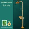 Antifreeze 304 Stainless Steel Emergency Shower & Eyewash Station