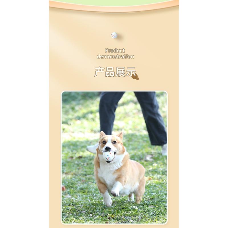 Durable Bite Resistant Elastic Solid Ball Chew Toy For Pet Dogs