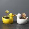 Cute Duck Flower Pot Succulent Pot Ceramics Planter Home Decor Desktop Ornaments Bonsai Plant Pot Garden Decoration