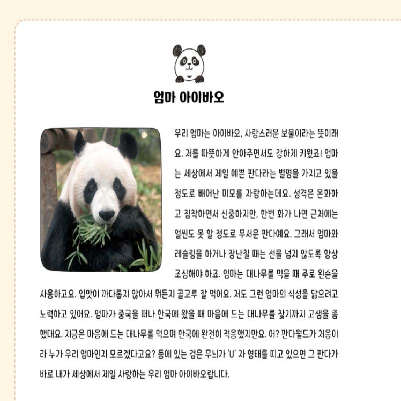 Omniscient Fubao Perspective Korean Picture Essay