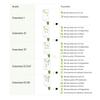 Food Safety Detector Fruit Vegetable Meat Nitrate Tester Environment Radiation Water Quality Testing Health Care Capacitive Touchscreen Tester Home