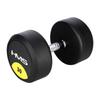 Echipamente de fitness – Gantere