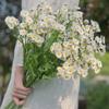 Handwritten Daisy Bouquet, Fresh Color Scheme, Suitable for Decoration in Hotels, Homes, Offices, Weddings, and Dining Tables