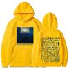 Hit Me Hard and Soft Tour Hoodie