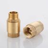 1/2" 3/4" 1 " 1-1/4" 1-1/2" 2" BSPP Female Male Thread Brass In-Line Spring Check Valve One Way Water Pump Valve
