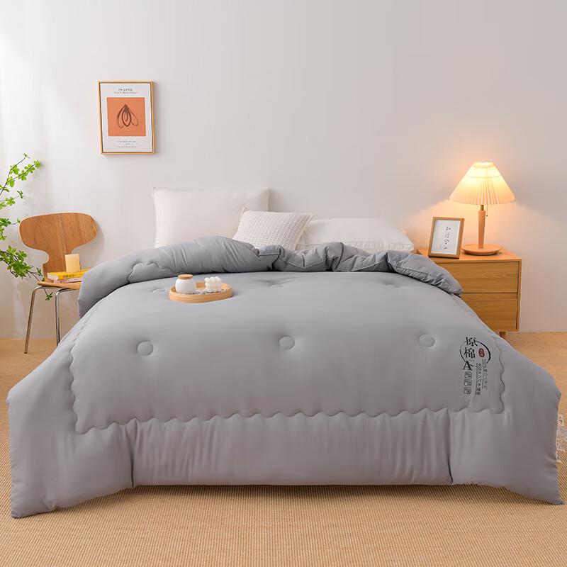 

Manya Home Cotton Washed Soybean Fiber All-Season Quilt