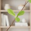 Decorative Dangling Vine Nordic Design Faux Hanging Leaves