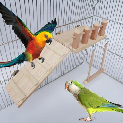 Pássaros – Brinquedos para pássaros