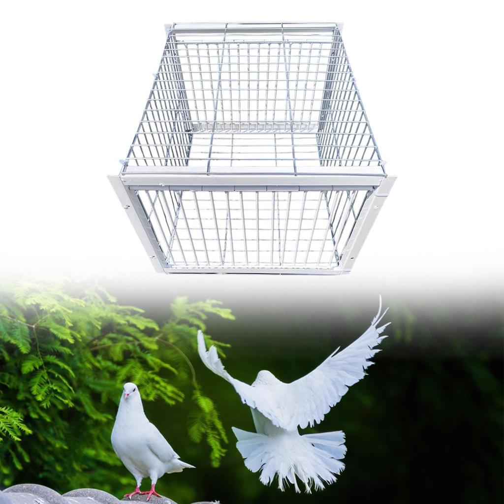 Automatische Taubenfangfalle für Wildvögel und Kardinäle