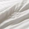 BOSS Mulberry Silk Antibacterial Quilt