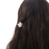 Small Korean Style Women Acetic Acid Hair Claw Hair Accessories Versatile Hairpin Flower Grab Clip