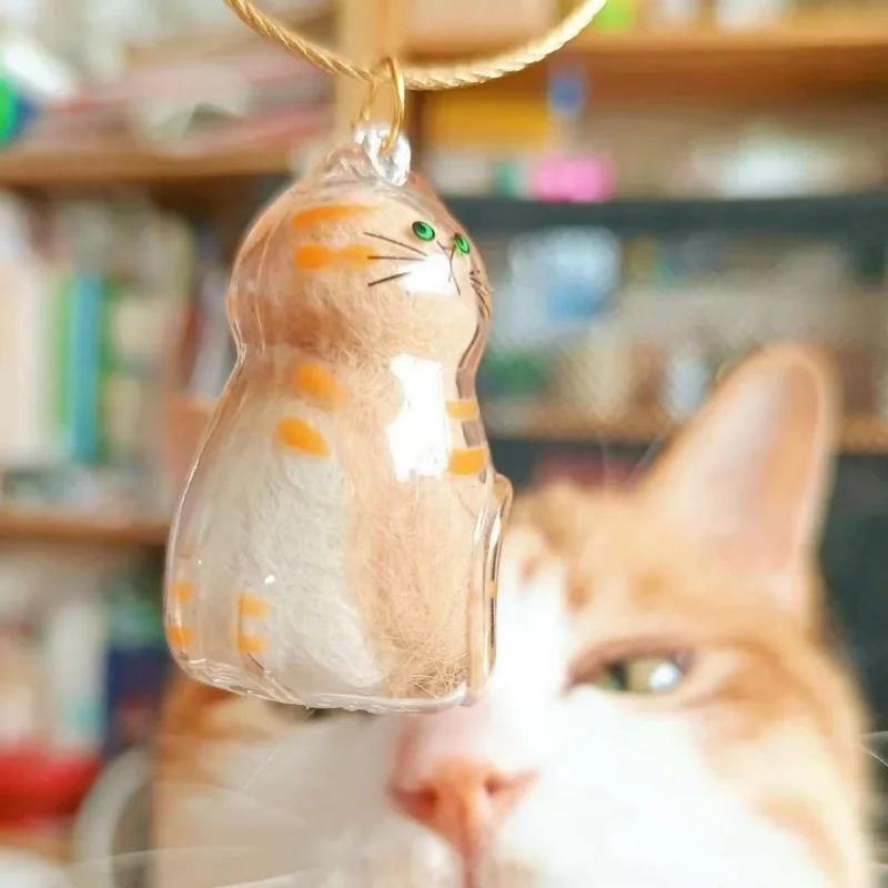 Pet Hair Storage Box Transparent Cat Hair Keepsake Container for DIY Decoration Memorial Gift Box for Pet Lovers Home Display