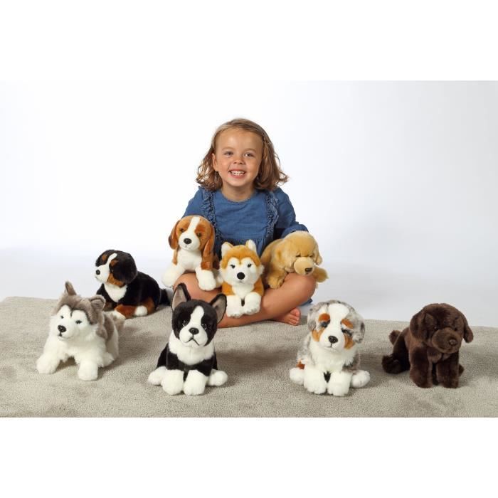 Plüschtier Berner Sennenhund - GIPSY TOYS - Sitzend, 25 cm