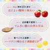 Sukoyaka Shoten Gummy Apple Vinegar Gummy 80 pieces Hard Gummy Apple flavor Citric acid Sour Vinegar taste Beet sugar No refined sugar Chewing keeps
