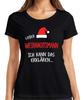 Dear Santa I Can Do Christmas Funny Funny Ladies TShirt