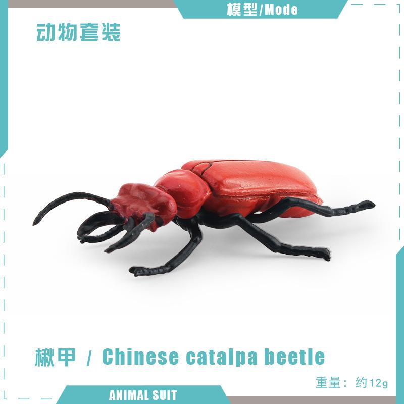 Simulated Insect Model, Liriodendron Beetle, Beetle, Triangular Dead-Leaf Frog, Reptile, Desktop Toy