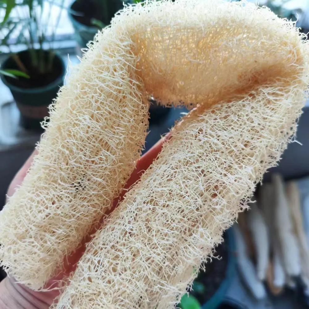 HOMZY 1pcs Natural Loofah Sponge Multi-purpose Cleaning Tool for Kitchen Bathroom Scrubber for Daily Cleansing Wash Body Scrubber Spa