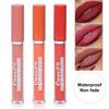 Waterproof Compact Moisturizing Beauty Matte Liquid Lipstick for Outdoor