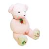 Take Off Wild Strawberry Bear 2L Pink Plush Toy Box [Music Included]