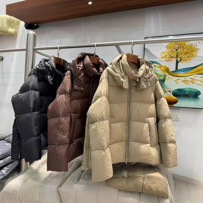 Autumn and Winter New Jiangnan Women's Simple Loose Hooded Down Jacket White Duck Down Warm Bread Jacket Trendy