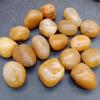 Children's Treasure Hunt: Mixed Crystal, Agate, and Gold Ore