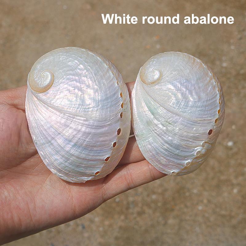 1 Stück DIY Damen Halskette Geschenk Zubehör Weiß Natürliche Abalone Muschel Anhänger Tropfenform Für Schmuckherstellung