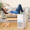 Compact Cross-Border Household Dehumidifier - Small Semiconductor Air Dryer for Bedroom