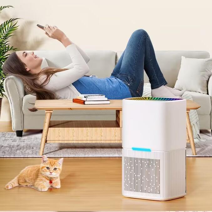 Compact Cross-Border Household Dehumidifier - Small Semiconductor Air Dryer for Bedroom