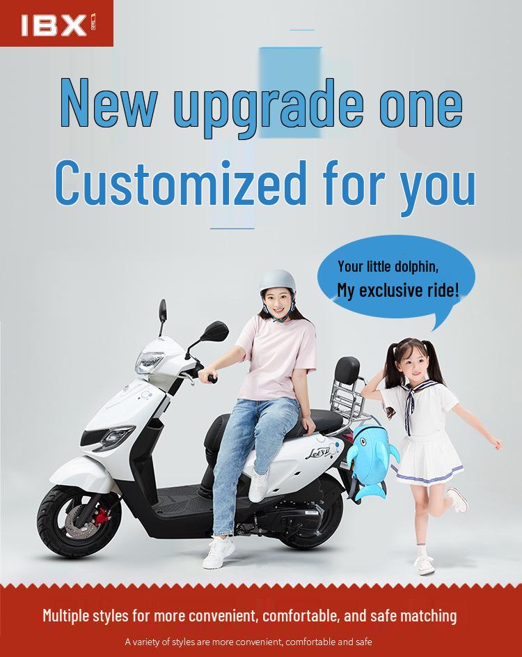 Suzuki Little Dolphin QS110T-3 Rear Luggage Rack Upgrade for Scooter Motorcycle