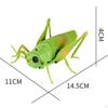 RC Grasshopper Toy Model Remote Control Animal for Gifts