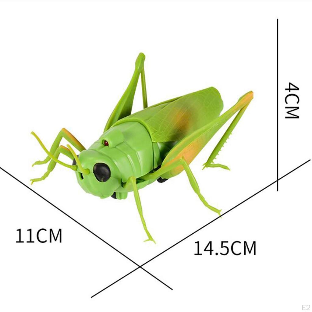RC Grasshopper Toy Model Remote Control Animal for Gifts