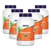 Now Foods Acanthopanax 500mg Veggie Capsules 250 Tablets 5 Pcs
