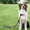 Nylon Dog Training Leash P Chain Pet Outdoor Walking Supplies for Small Medium Dogs Border Collie Golden Retriever Puppy