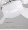 2024 E27 Ceiling Fan Light with Removable Blades for Bedroom and Living Room