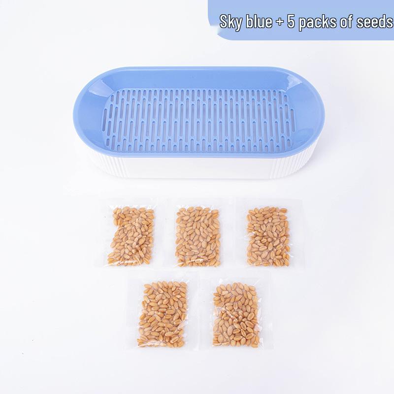 Hydroponic Cat Grass Set: Catnip Planting Box for Pet Snacks