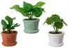 Artificial Plant In a Decorative Pot 8x17cm Green Decorative
