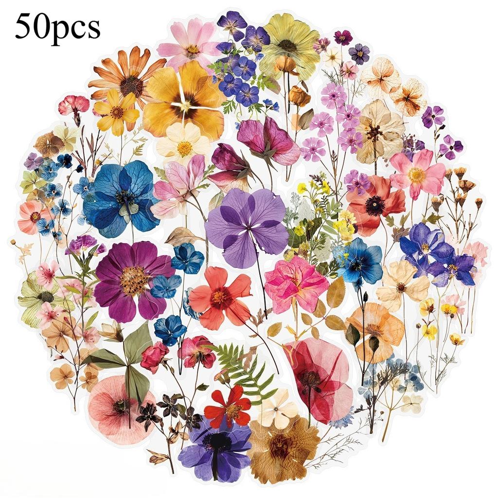 50pcs Transparent PET Flowers Plant Material Stickers Handbooks Tablets Phone Water Cups Decor Stationary Notebook Stickers
