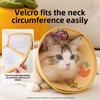 Good Luck for Cats, Auspicious Words for Pets, Elizabeth Rings, Dog Bite-proof Headgear, Waterproof Neck Rings, Pet Products.